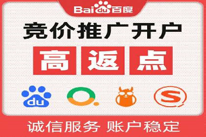 深度解析：百度竞价代理的优化策略与成功案例